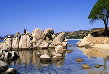 包含清晨欧篮联传出新动向，本菲卡状态回暖，管理层表态——话题不断，球探报告显示潜力的词条-开云官方登录